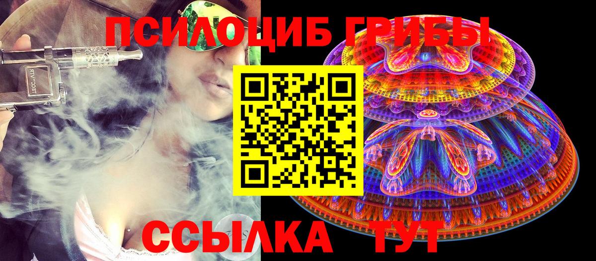 купить  цена  Вход с VPN  Владимир  Галлюциногенные грибы Psilocybine cubensis 