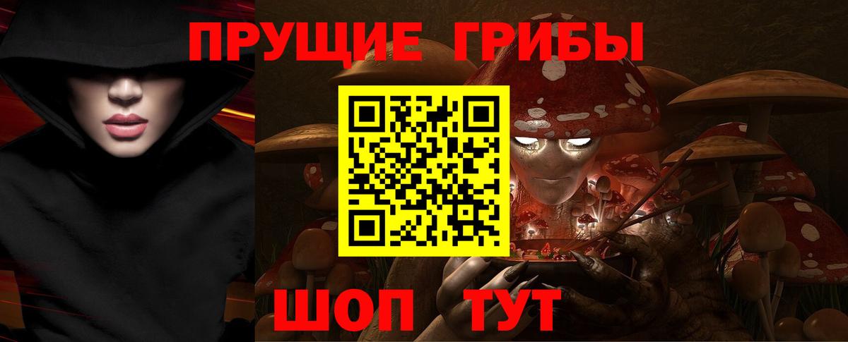 Галлюциногенные грибы Psilocybine cubensis Владимир